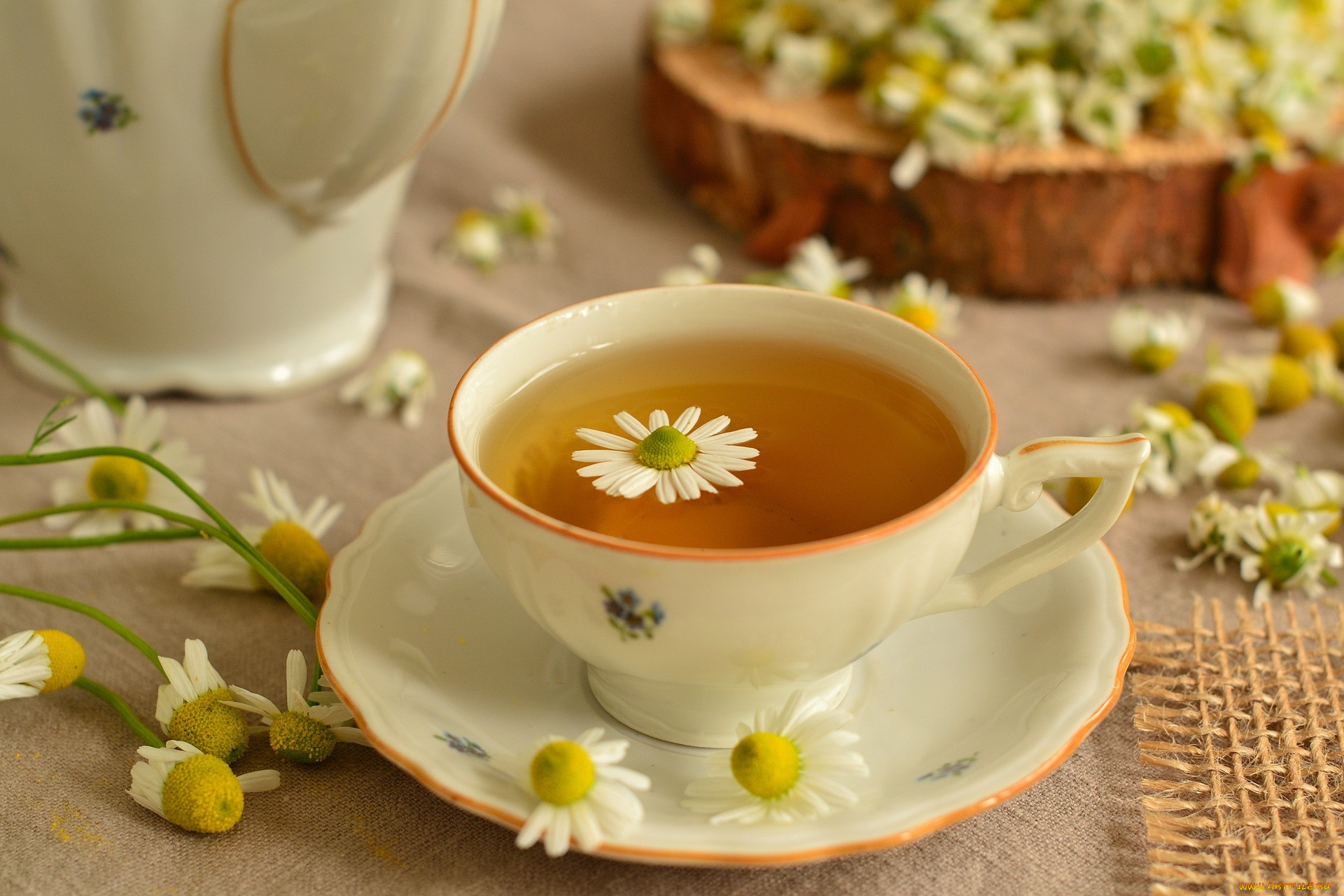 Травяной чай Ромашка